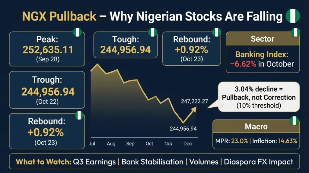 NGX pullback infographic showing ASI 3% below peak, banking index decline, and 8-factor stock evaluation framework